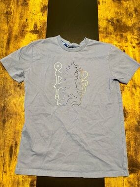 Chelsea FC Lion Crest Graphic Tee Gray Kids Youth Soccer Shirt
